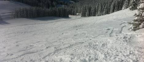 Sne- og skisport