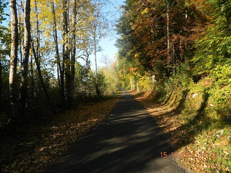 sur la route du lac