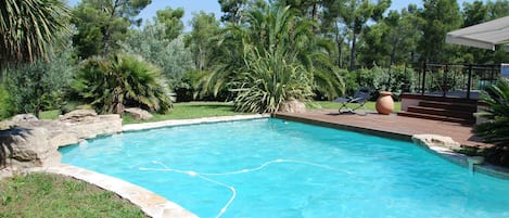 Piscine & jardin