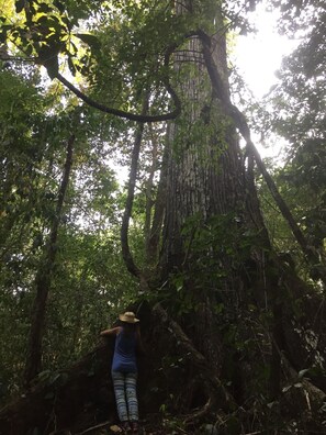 Terrenos do alojamento