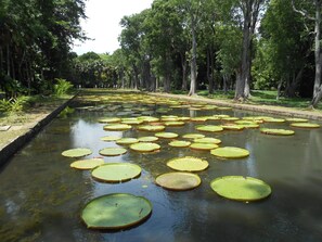 Terrenos do alojamento