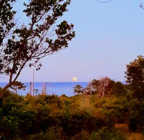 vue mer depuis la terrasse