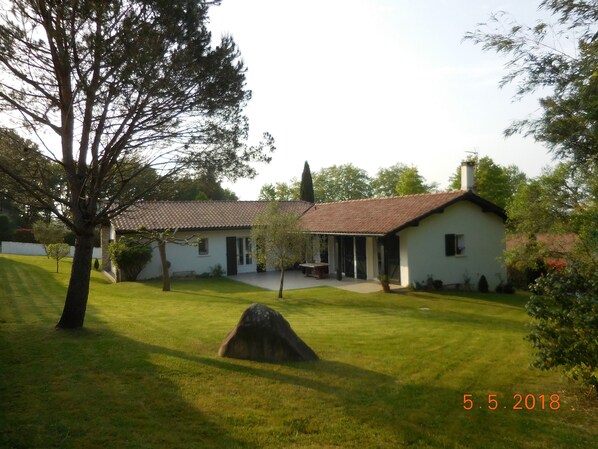 Exteriör