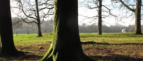 Jardines del alojamiento