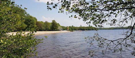 Plage ensoleillée du Lac