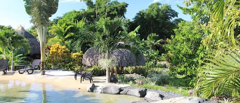 Piscine naturelle avec sa petite cascade