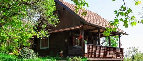 Cabin from the road