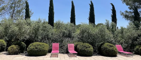 La piscine et son environnement arboré