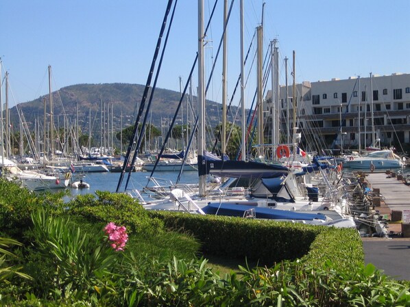 Marina