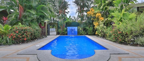 The main attraction, our pool!