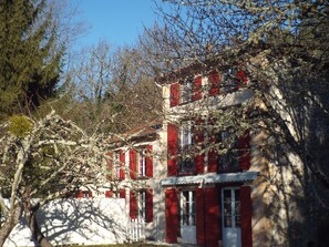 Exteriör
