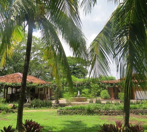 Property grounds