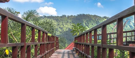 Jardines del alojamiento