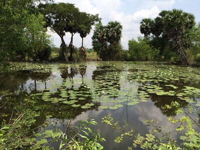   Beautiful Lake front Villa and property in nature 