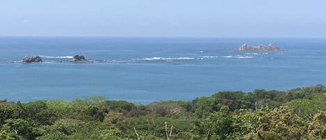 National Marine Park Ballena.