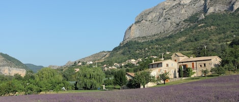 Le Moulin, the famous cliffs and our lavander field