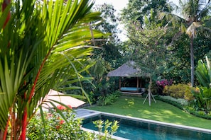 View from plunge pool to the big lap pool in the beautiful villa garden 
