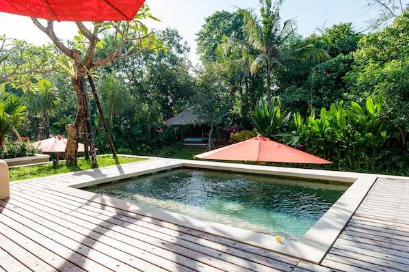 View from living room to  private plunge pool deck