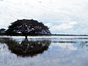 Ossudu lake