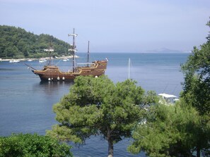 View from the villa's window