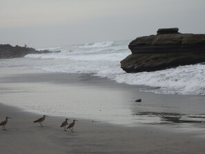 Plage