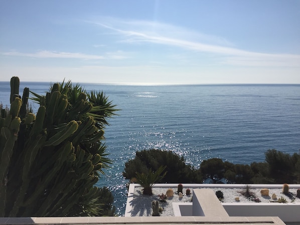 Views Monaco, Sea, Beaches