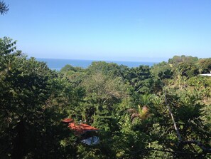 View from living room 