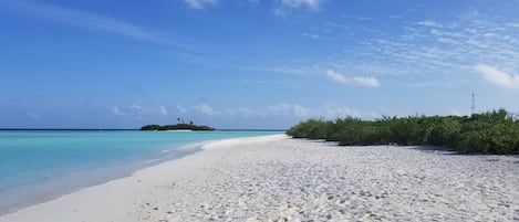 Picnic island