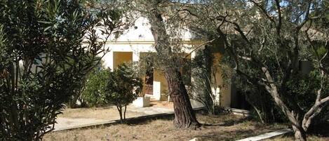 House front from top garden