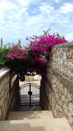 Villa Palm entrance 