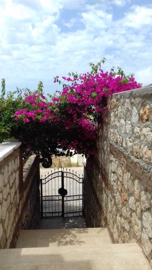 Villa Palm entrance