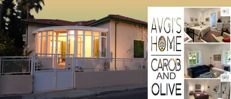 Avgi's Home - Carob&Olive combo apts, vacation, holiday rent Limassol Cyprus