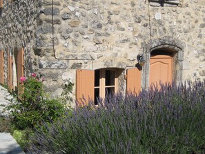 Lavender at the entrance