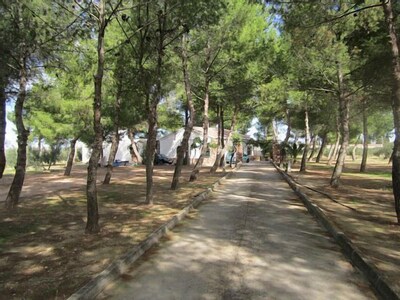 Rural complex of 5 independent houses, 10 minutes from the square