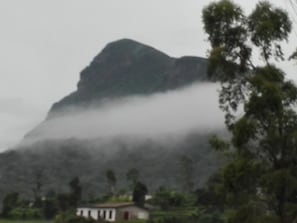 Misty Hakgala Mountain