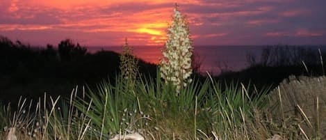 Monet-like Setting Sun from Terrace and Main Bedroom Over Dune and Atlantic Ocea