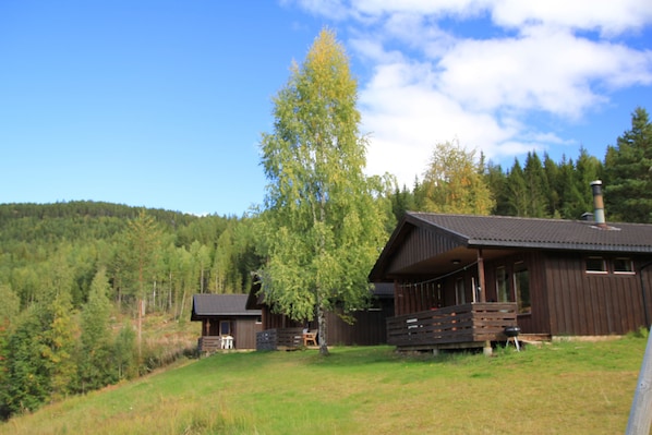 Exteriör