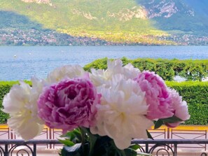 View from living room - vue depuis le salon