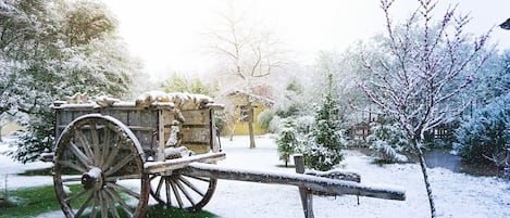 Jardines del alojamiento