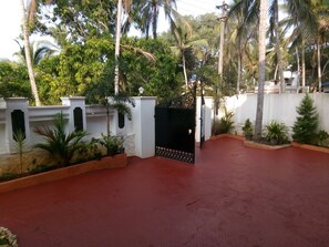 Front garden with tropical plants.