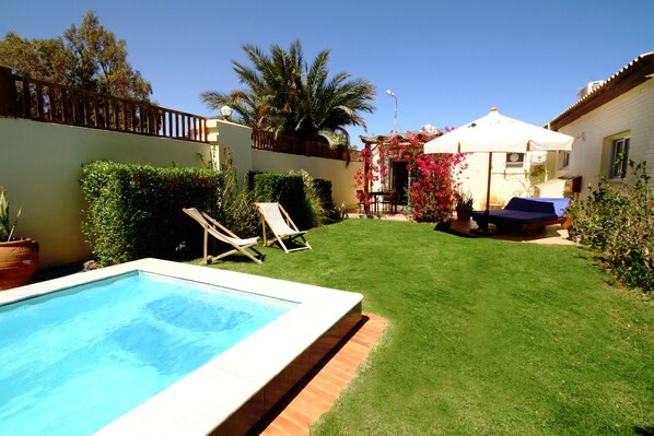 Seahorse terrace and sunbeds/shade
