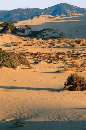 Strand