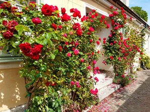 Entrance in the famous "Rose Alley".
