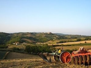 Local Area