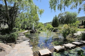 Lakes and Fountain