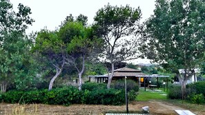 Property grounds