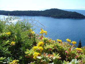 terrace view