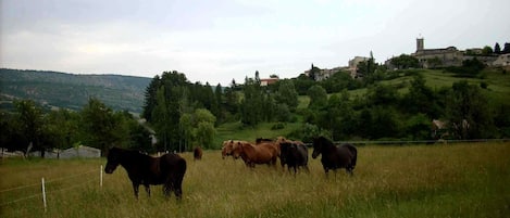 Vue sur le Village