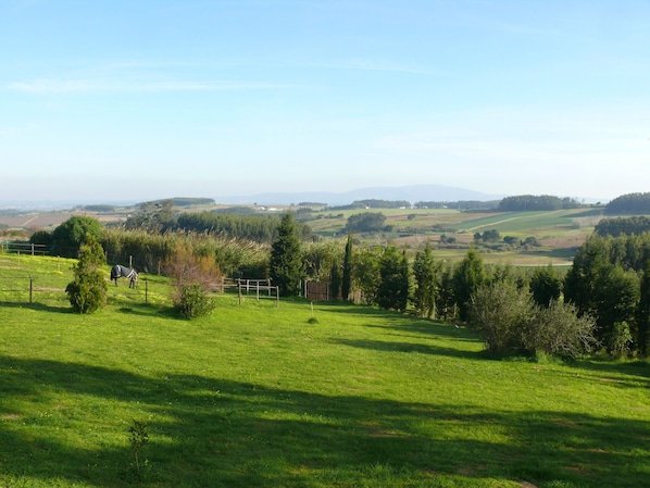 The garden seen from "The Studio's Painter"