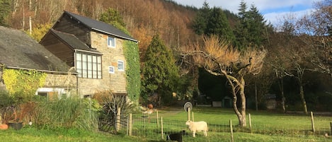 Swn y Nant looking over the garden